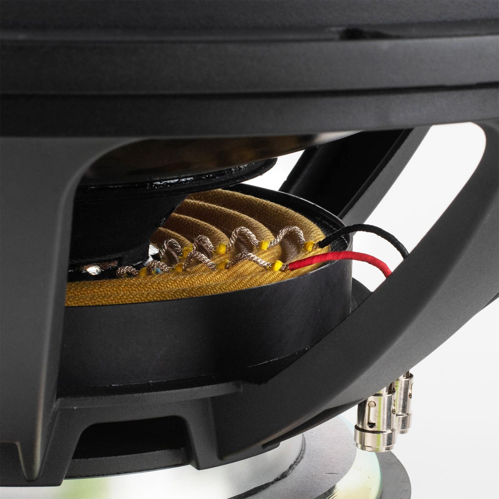 SS18-22 Signature Subwoofer - Dual Spiders and Tinsel Leads Detail